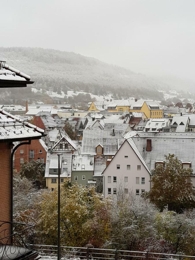 Ferienwohnungen Albstadt Dış mekan fotoğraf
